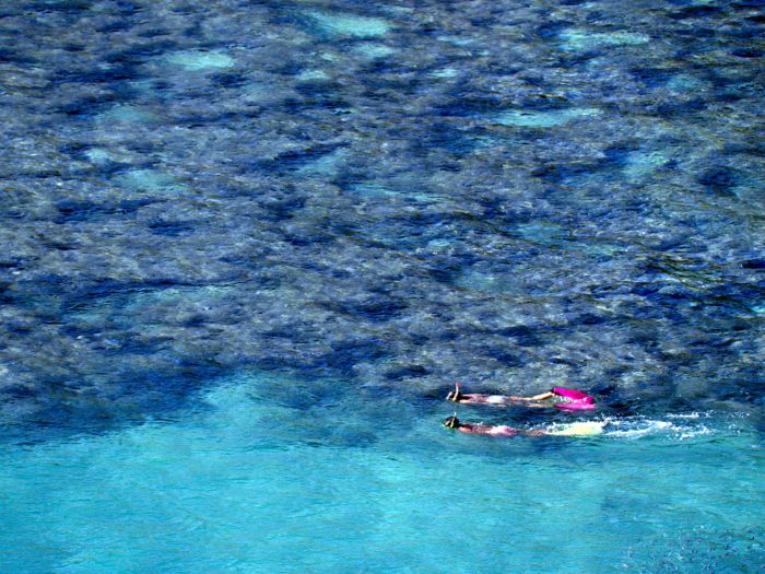 Go snorkeling and catch a glimpse of beautiful marine life.