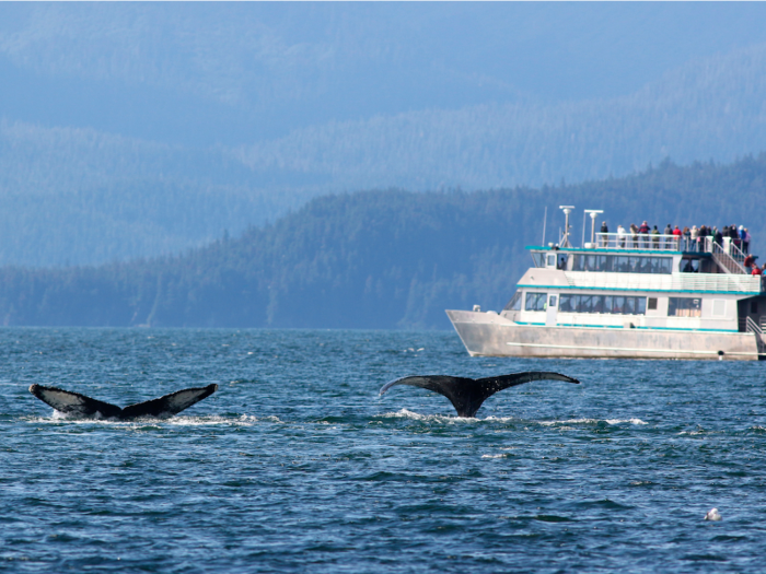 Take a cruise in Alaska and watch for orcas, grizzlies, and eagles.