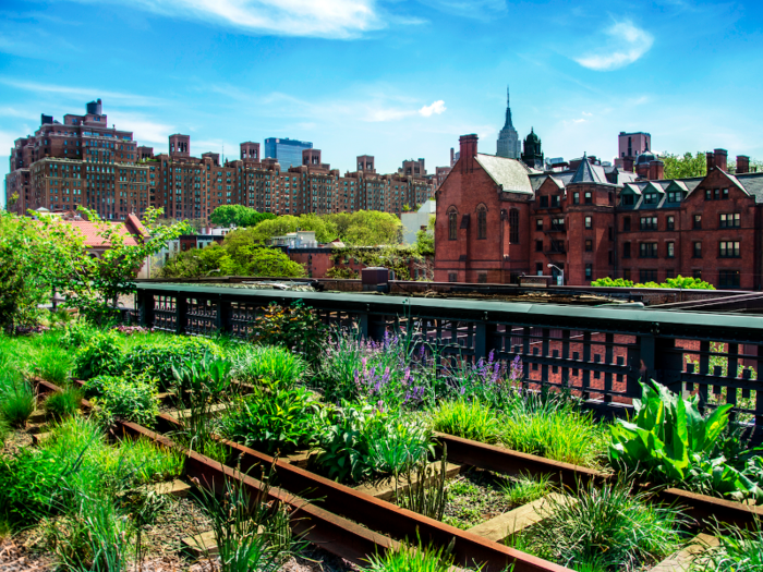 Go for a walk along New York City