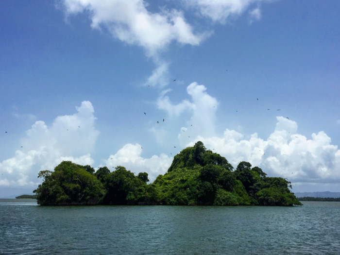 Check out the protected Los Haitises National Park, which is accessible only by boat. You