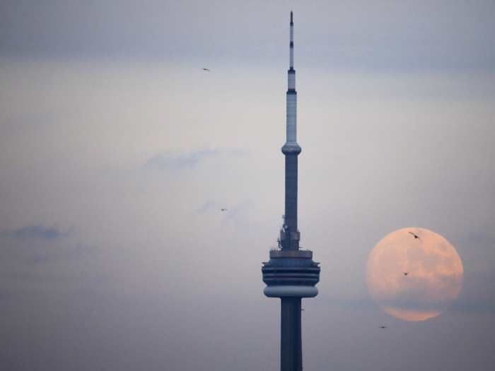 CN TOWER: Daredevils can participate in an EdgeWalk near the top of CN Tower, where they