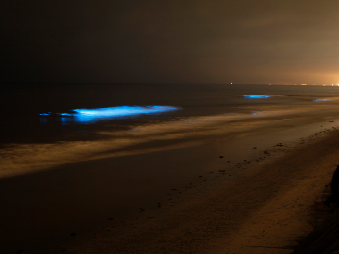 Red tides, an abnormal accumulation of algae, can make bioluminescence occur at additional sites too. A 2011 red tide in California caused this bioluminescent activity close to the beach.