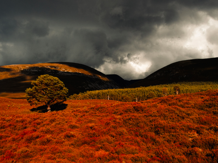 Go camping at the Cairngorms National Park, where hikes at varying levels of difficulty offer breathtaking views.