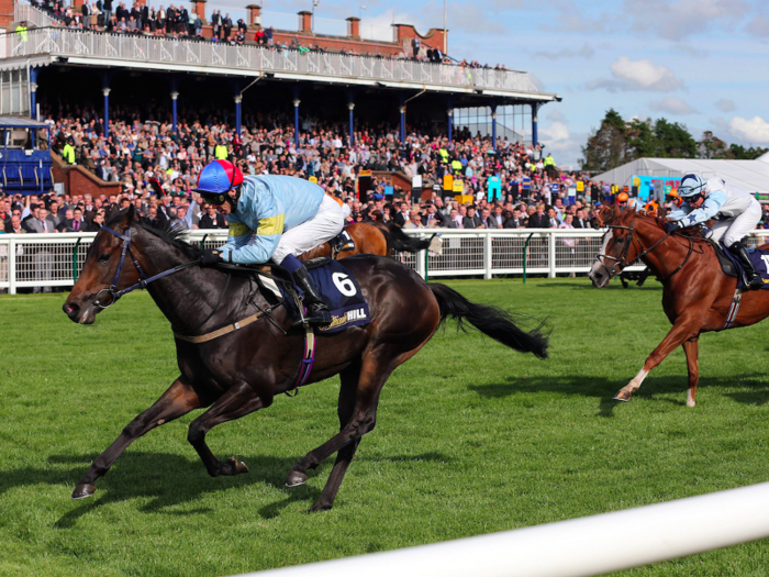 Catch a horse race at Ayr Racecourse. It