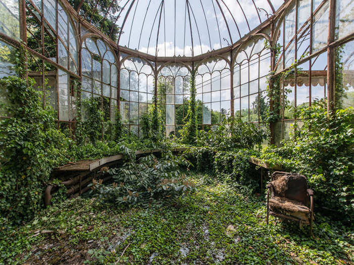 ...and this forgotten greenhouse in Belgium, which has been invaded by nature over time.