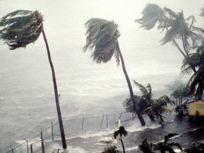 When Hurricane Hugo destroyed his local pool in 1989, Duncan was forced to practice in the ocean. He later said swimming lost its appeal because there were no competitions at this time.