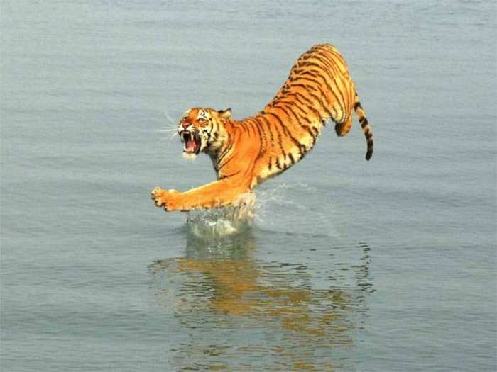 Sundarbans, West Bengal