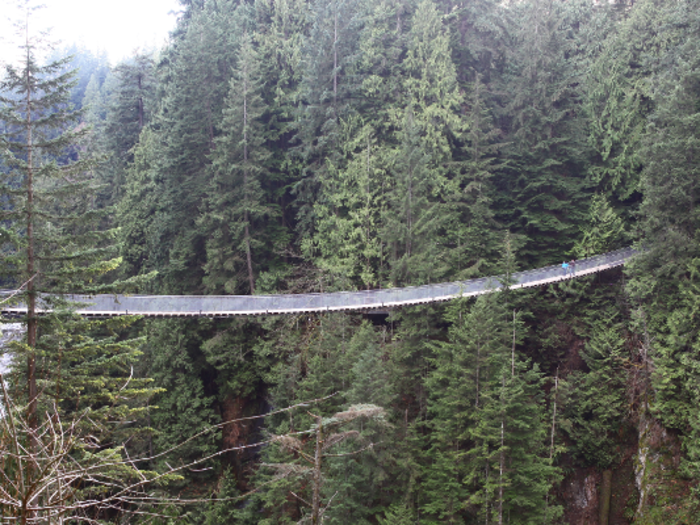 Nestled in the middle of a Canadian forest, the rickety Capilano Suspension Bridge in North Vancouver, British Columbia is the perfect place for all thrill-seekers. Just don