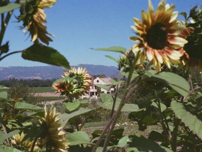 Sip wine on an outdoor picnic table at Scribe Winery, one of the coolest wineries in the area.