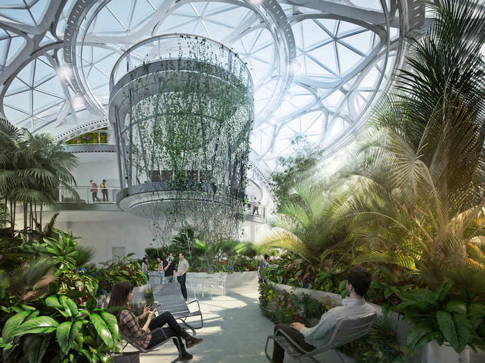 The orbs will feature tree canopies three stories off the ground, a five-story living wall, a creek, and waterfall. Meeting rooms will have walls made from vines.