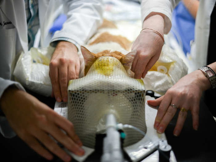 A vacuum bag inflated around her body will hold its shape for the duration of her treatments, helping them position her body in this exact way in the future. The more precise her position, the better-targeted the radiation will be.