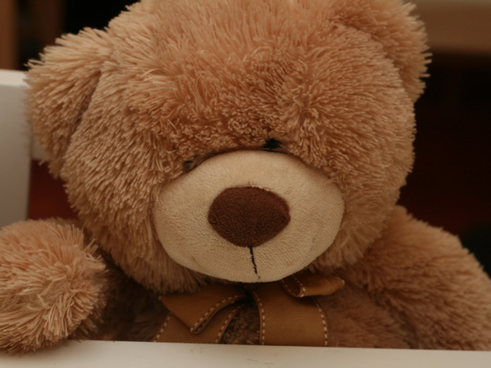 TEDDY BEAR: Famously named after President Theodore "Teddy" Roosevelt, Teddy Bears are one of the most beloved stuffed-animals around.