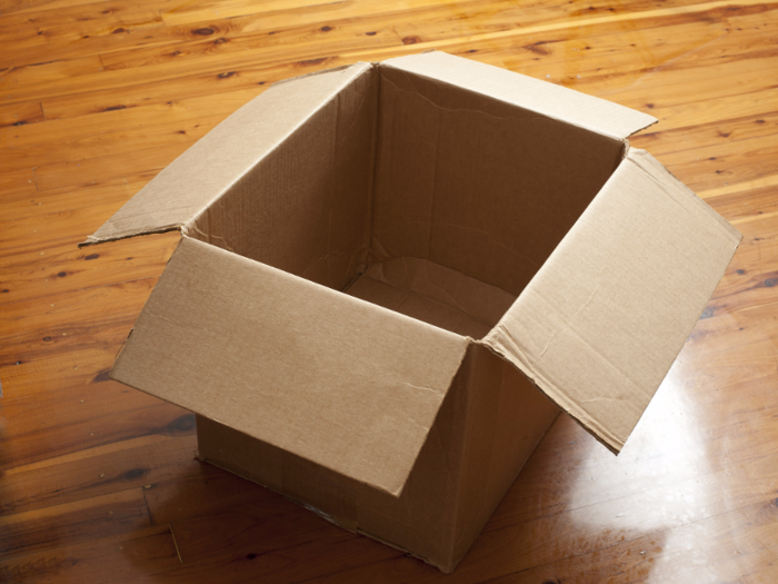 CARDBOARD BOX: Time machine, fort, car, spaceship, castle, diorama, dollhouse, television — a plain ol