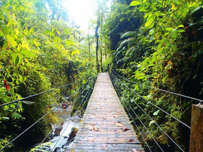 Nearer to Quinto, Mindo, a town that "sits in the cloud forest" in the Andes, is a fun place for a weekend trip with activities like "zip-lining, bridge walks, and hiking."