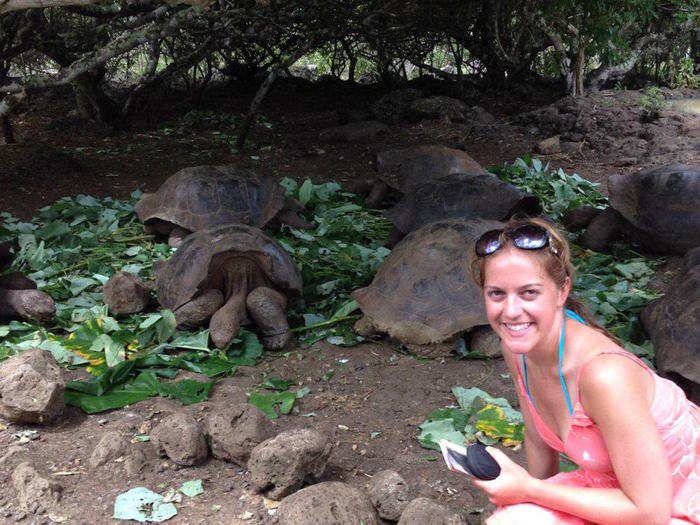 The islands are home to giant tortoise as well.