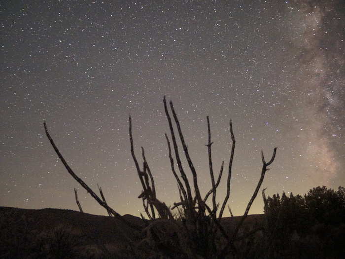 The Delta Aquarids