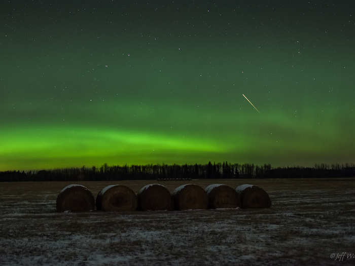 Leonids