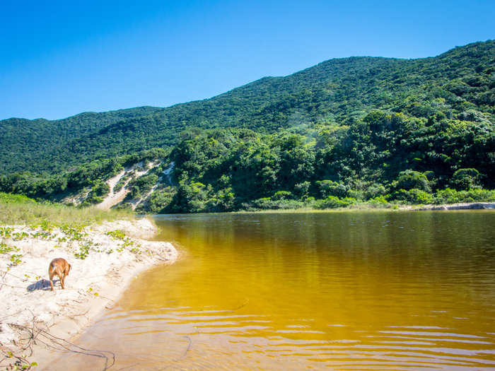 Lagoinha do Leste, Florianópolis, Santa Catarina