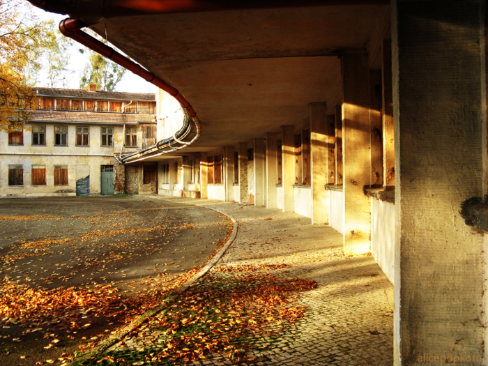 The large, horseshoe-shaped building housed 38 dining rooms, designated for different countries participating in the Games.