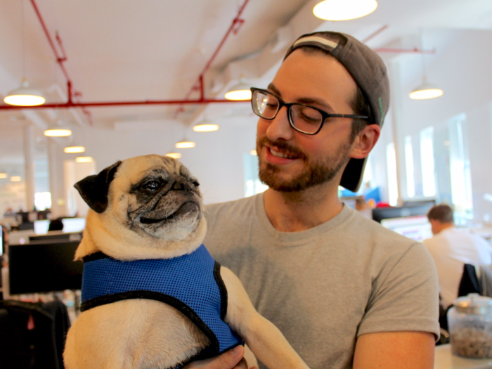 Noodle, a laid-back pug, and his owner, Jonathan Graziano, one of Bark & Co