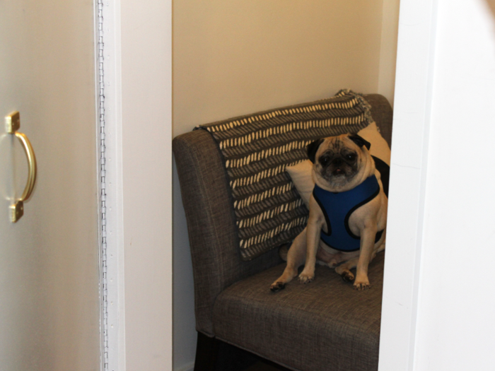 Warning: You might find an adorable pug inside.