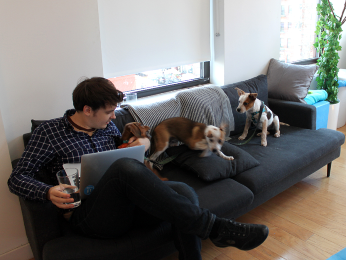 The area also features couches and workstations for human employees to get away from their desks. You never know who might come join you.