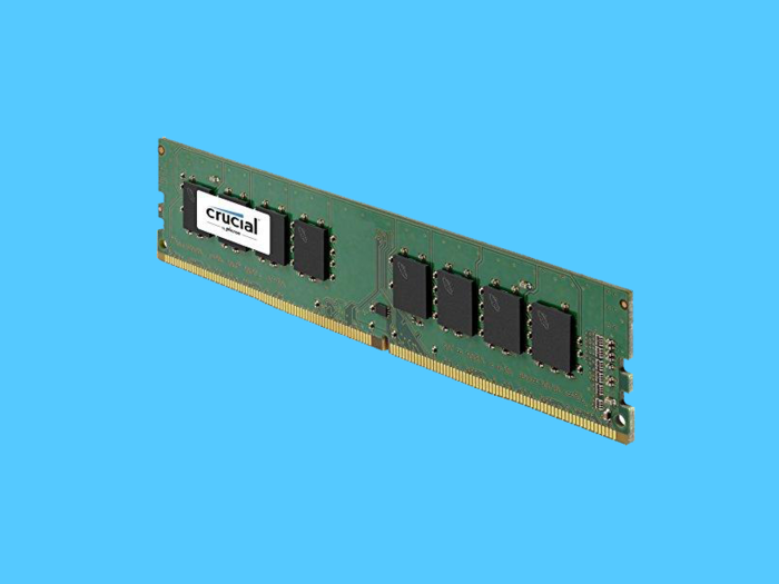 The RAM: Crucial 8GB DDR4