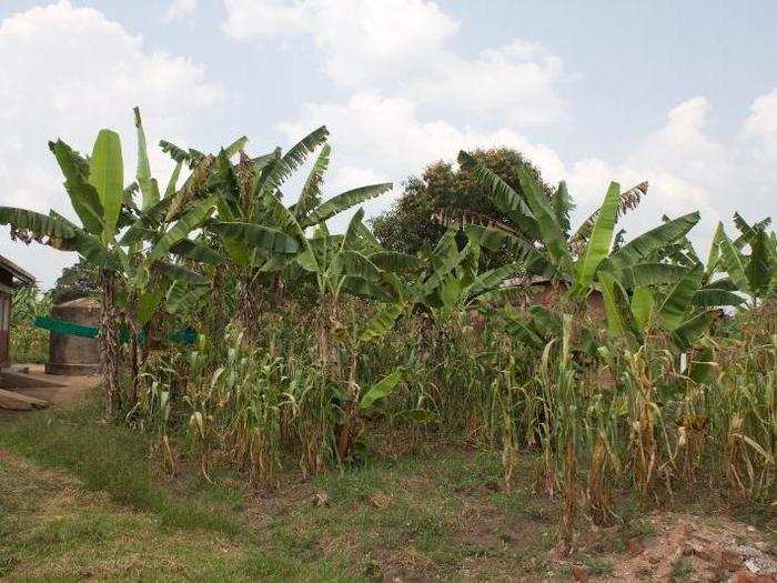 The area surrounding the clinic is quite remote, and many of the patients don