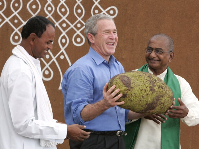 Largest fruit: jackfruit.