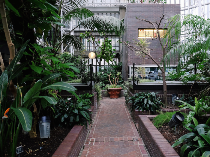 Complete with exotic fish and more than 2,000 species of tropical trees and plants, the Barbican Conservatory is as close as you