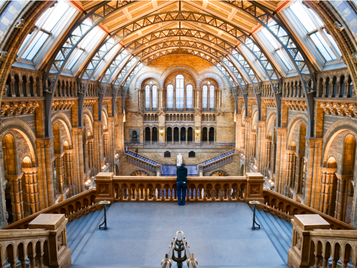 The Natural History Museum