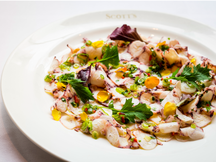 SIGNATURE DISH — Octopus Carpaccio with chilli, spring onion and coriander