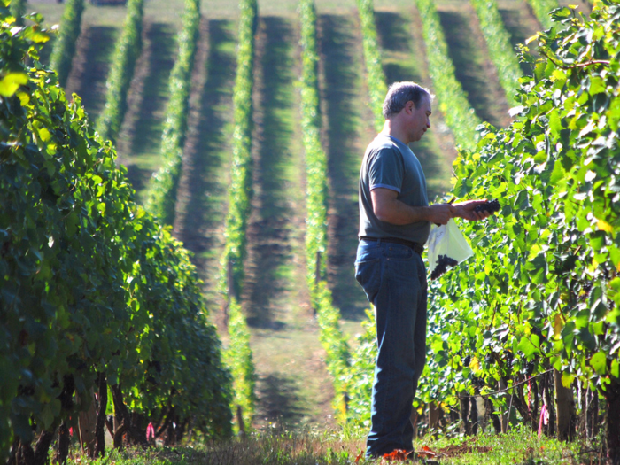 Willamette Valley, Oregon