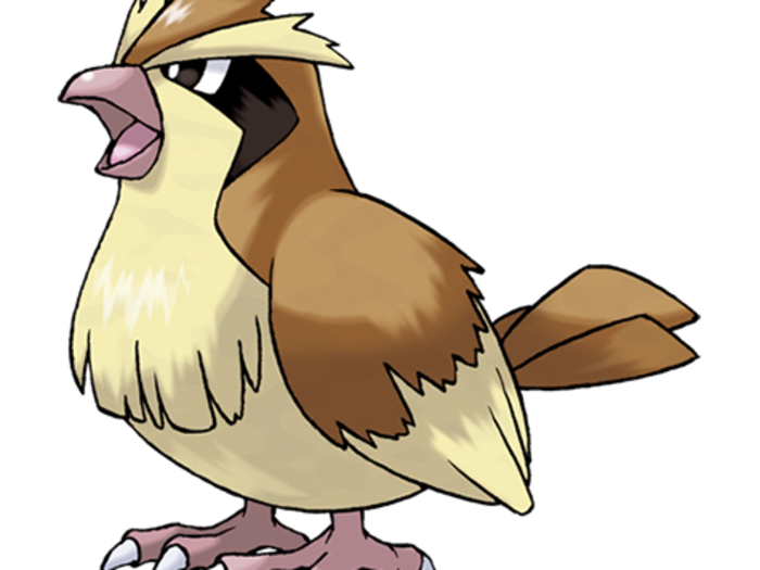 16. Pidgey