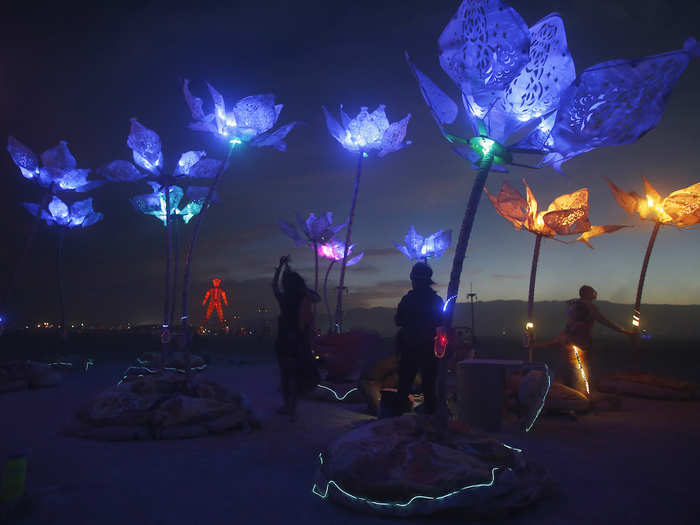 Pulse and Bloom by Saba Ghole, Shilo Shiv Suleman, Rohan Dixit, Heather Stewart, Luke Iseman, and Sam Clay (2014)