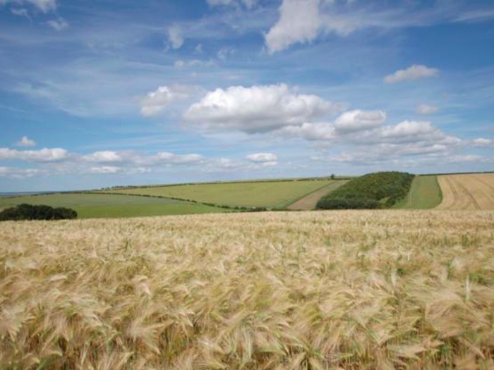 It is made up of 2,116 acres of agricultural land, including 112 acres of woodland. Watson told the Yorkshire Post in April that the total annual rental and agricultural subsidy income is around £388,000.