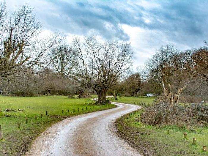 22. Take a walk through nature in Hatfield Forest, Essex.