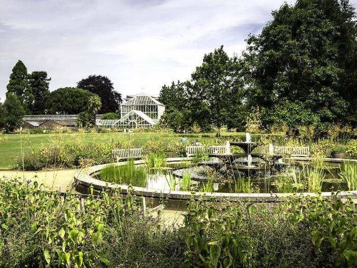 8. Forgo the crowds at Kew Gardens with a visit to the Cambridge University Botanic Garden, which is set across 40 acres with over 8,000 species of plants.