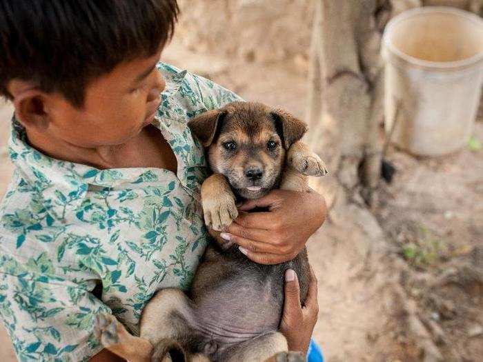 In a Cambodian home living on $463/month per adult, the favorite toy is a puppy.