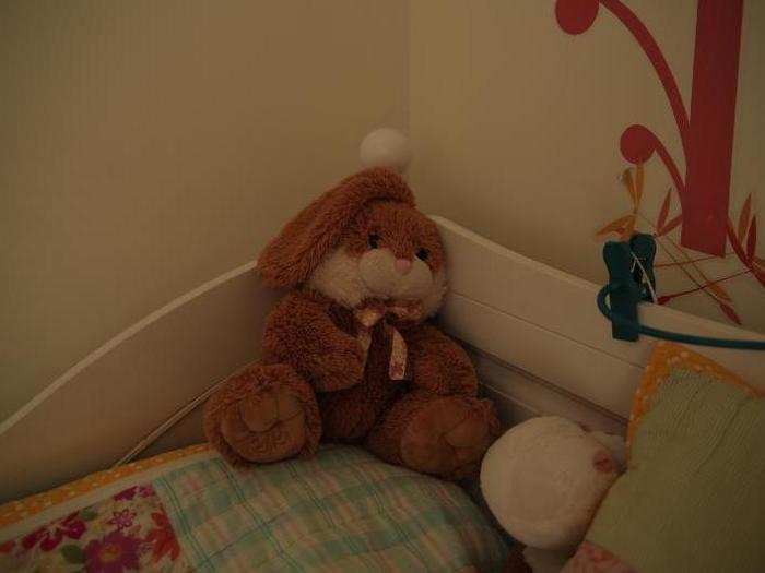 In a Latvian home living on $11,381/month per adult, the favorite toy is a stuffed animal.