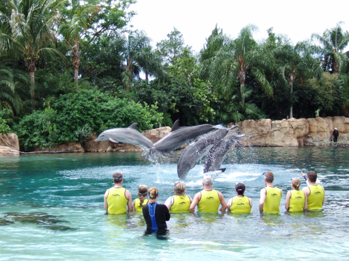 2. Discovery Cove – Orlando, Florida