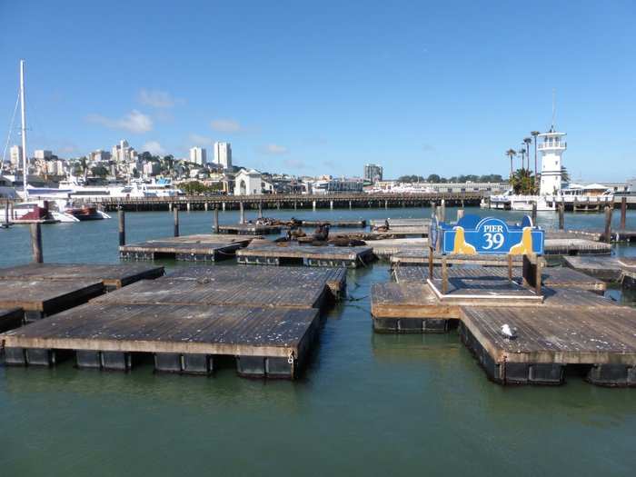 15. Pier 39 (San Francisco, CA)