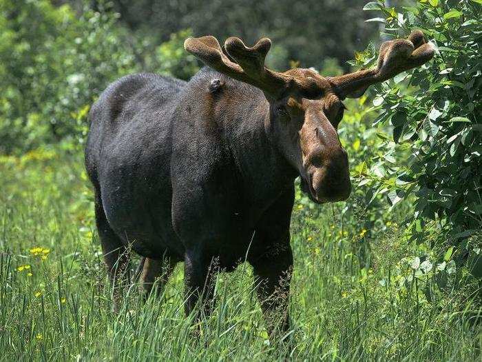 Isle Royale National Park