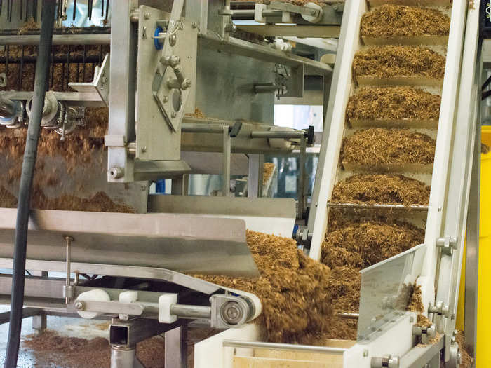 After a few days of growing, a separating machine is used to break up the material, which is now surrounded in a cozy layer of mushroom root fibers. This helps prepare them for their final growth phase — where they