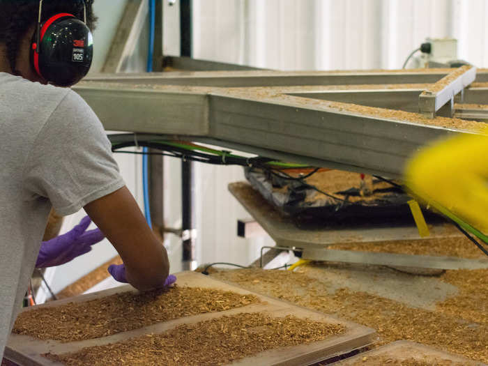 Here, a worker places the materials into a customized form. Over several more days, the mushroom filaments suck up oxygen and bind together, creating an airtight seal in the shape of the final product. So far, companies ranging from solar light manufacturers to wine and beer makers have used Ecovative