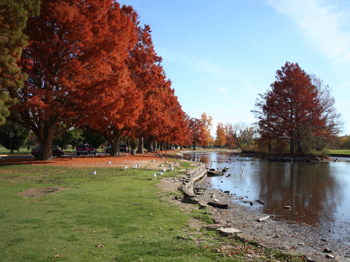 IDAHO: Ann Morrison Park