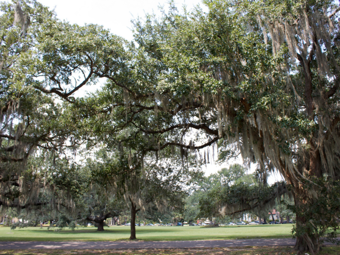 LOUISIANA: Audubon Park