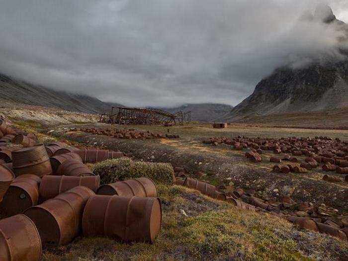 Bower visited for the first time in August 2014, late enough in the season that the ice in the fjords had broken up.