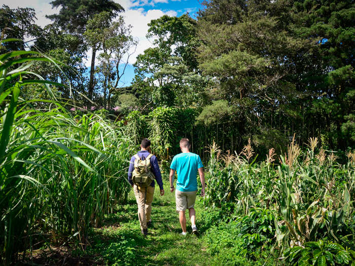 My partner (right) and I were introduced to the farm by Felix Salazar (left), a nature photographer born and raised in Monteverde who also works on the farm and gives tours in his free time. Felix walked us through the rolling green fields where the coffee for Cafe Monteverde is grown.