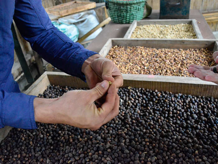 Once the cherry is separated from the bean, the sticky beans are gathered in large bins and stored for between one to 15 days. Then — no matter what process is being used — the beans are usually stored for about six months before being roasted to increase their flavor. Here